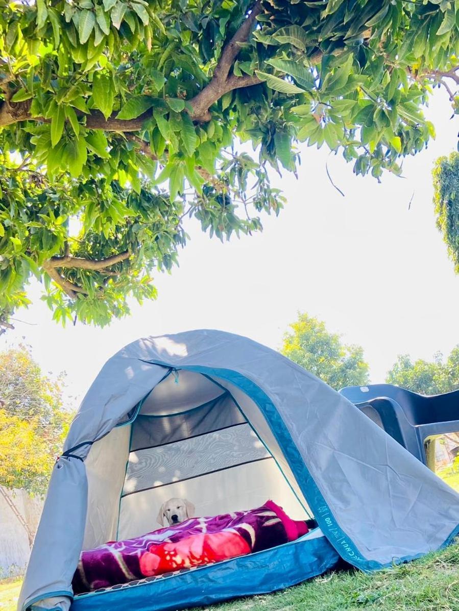 Lazy Staytion プシュカル エクステリア 写真